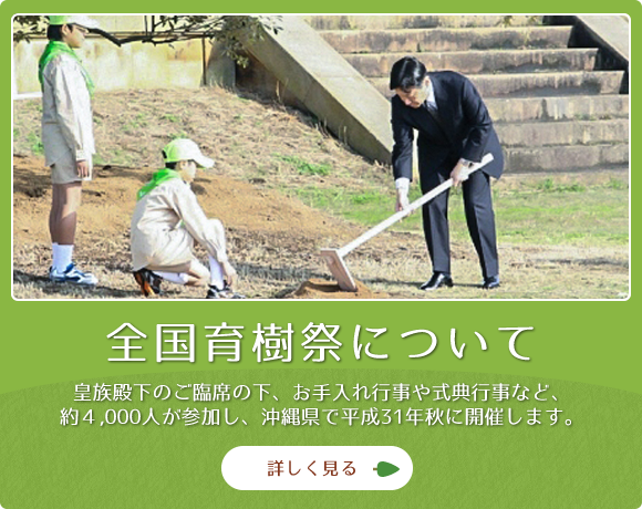 1分でわかる 全国育樹祭について